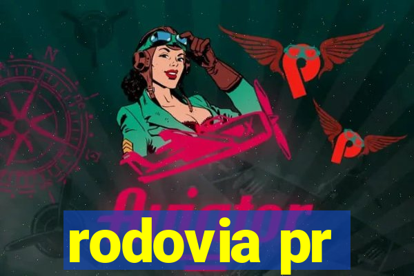rodovia pr-317 km 155 onde fica